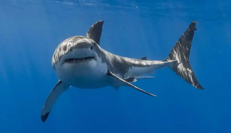 河南乐洋电子科技有限公司轮播图3