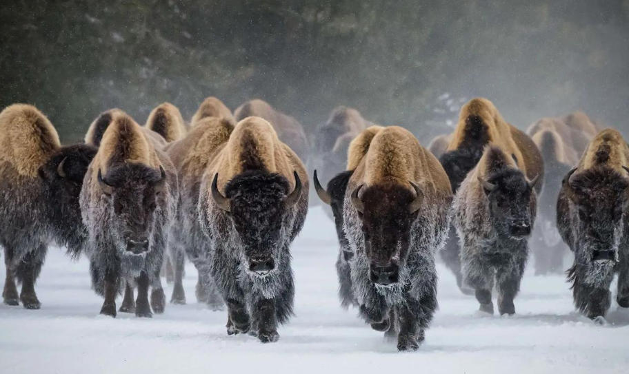 河南乐洋电子科技有限公司轮播图2